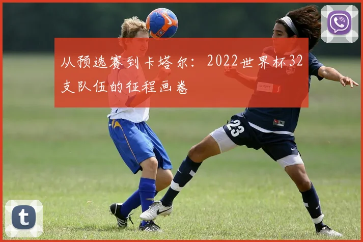 从预选赛到卡塔尔：2022世界杯32支队伍的征程画卷