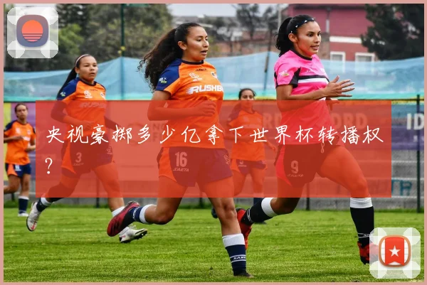 央视豪掷多少亿拿下世界杯转播权?