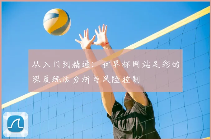 从入门到精通:世界杯网站足彩的深度玩法分析与风险控制