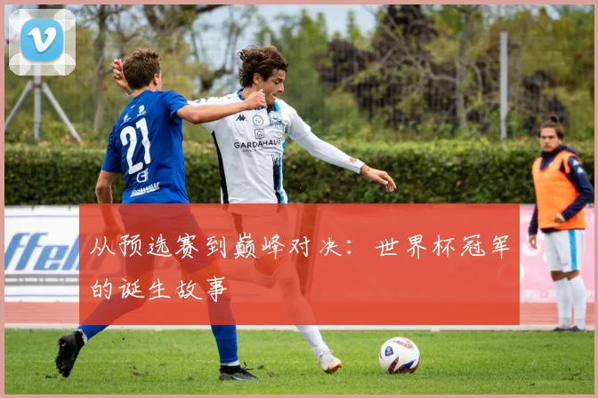从预选赛到巅峰对决：世界杯冠军的诞生故事