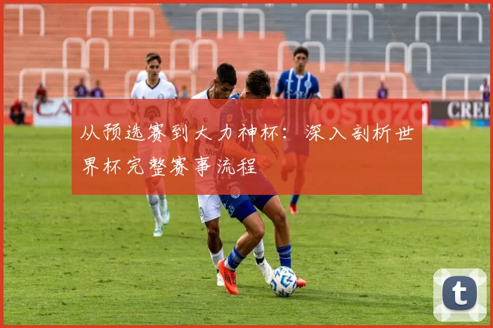 从预选赛到大力神杯：深入剖析世界杯完整赛事流程
